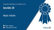 Sección 20: Mejor rebaño