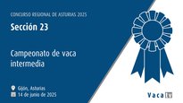 Sección 23: Campeonato vaca intermedia