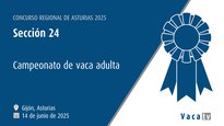 Sección 24: Campeonato de vaca adulta