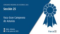 Sección 25: Vaca gran campeona de Asturias