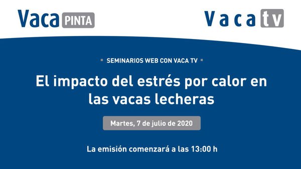 O impacto do estrés por calor nas vacas leiteiras