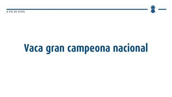 El nacional de la raza parda, ¡también en streaming!